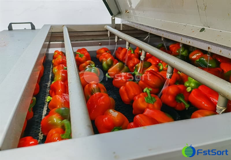 images/1702542058827bell pepper sorting grading line.jpg